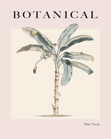Vintage Botanical Palm
