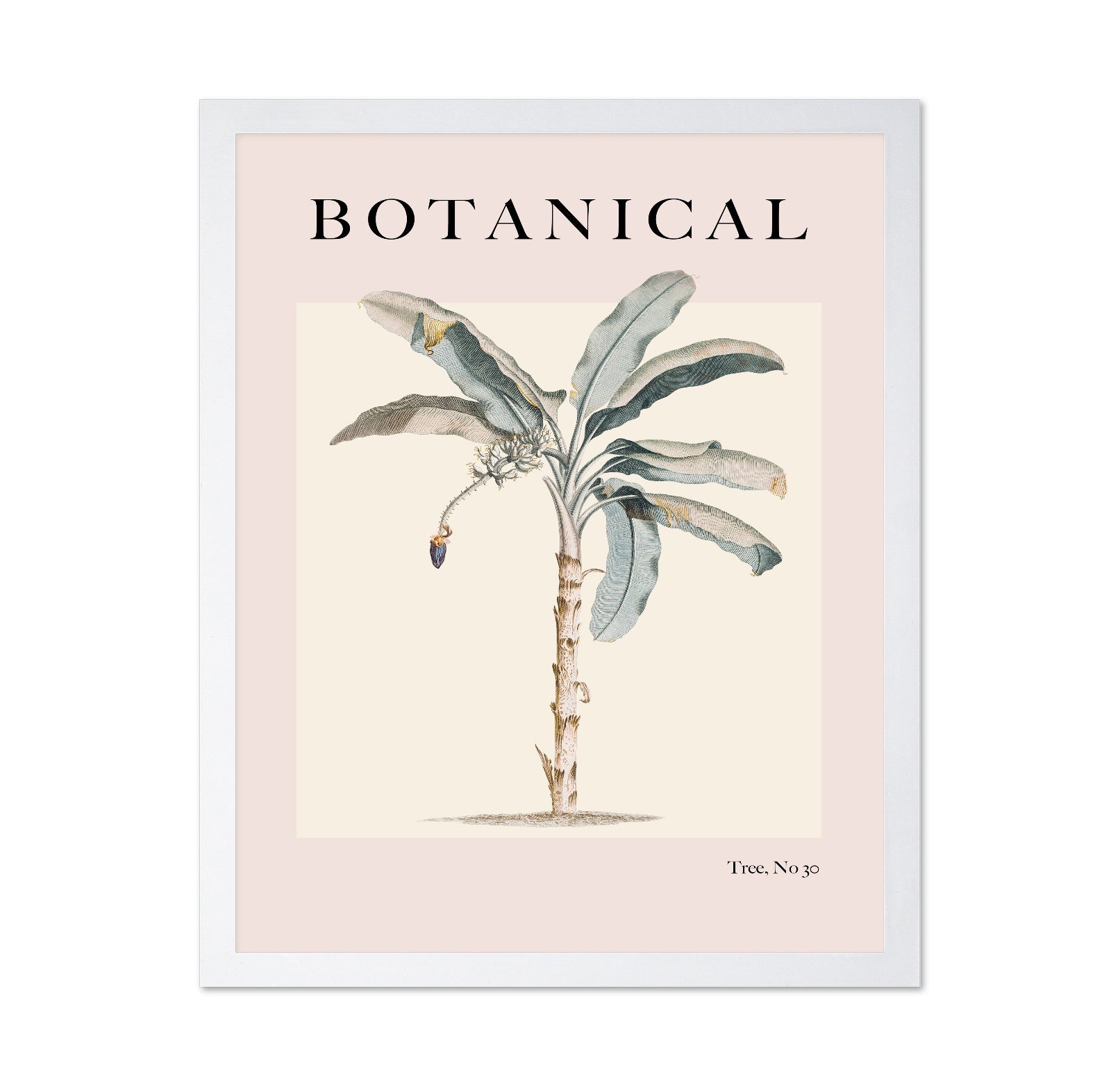 Vintage Botanical Palm