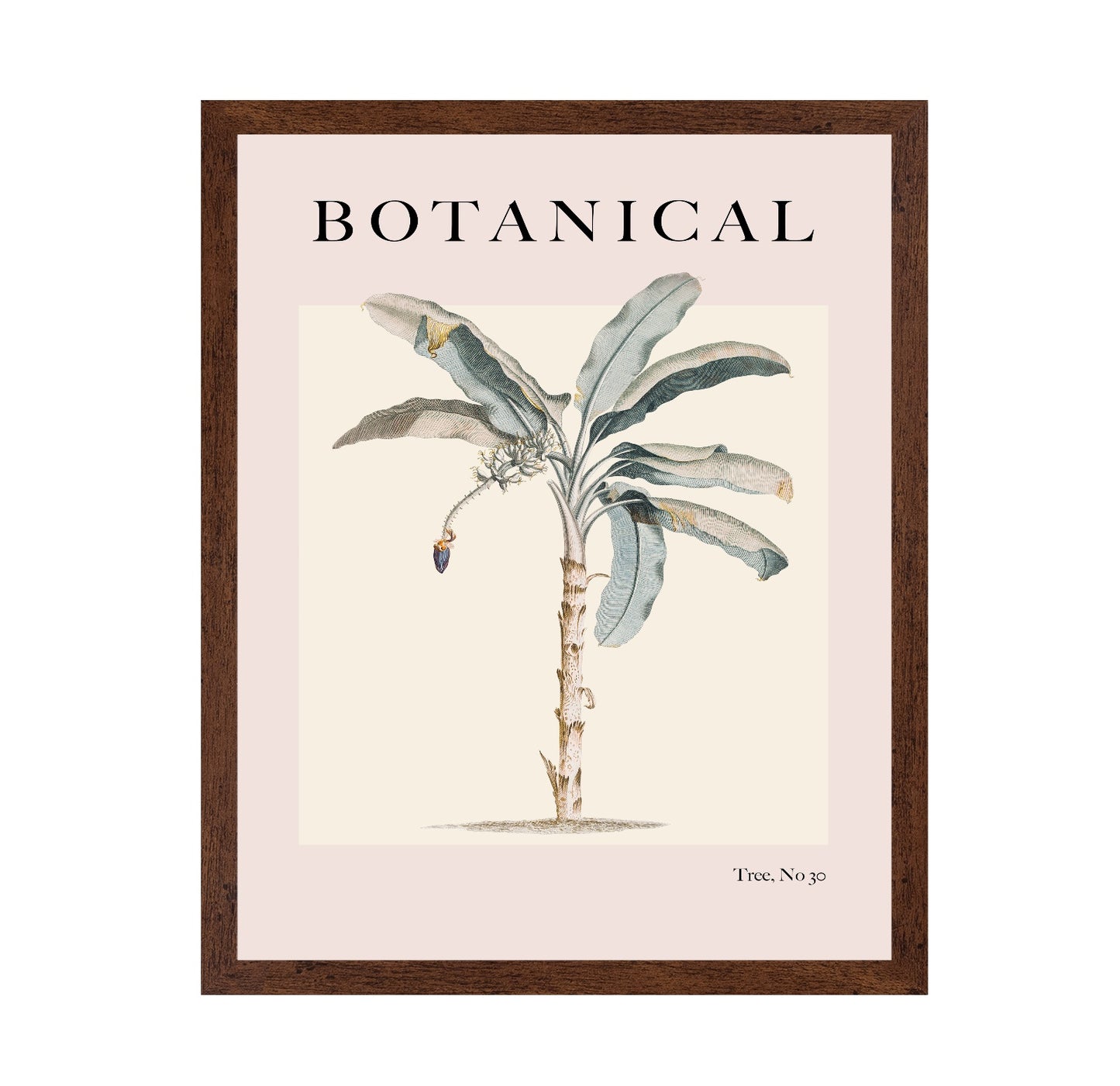 Vintage Botanical Palm
