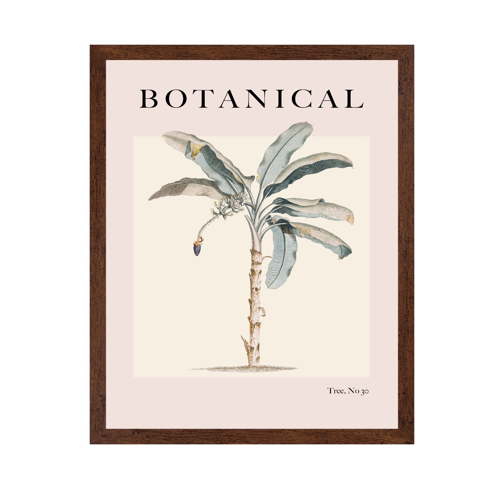 Vintage Botanical Palm