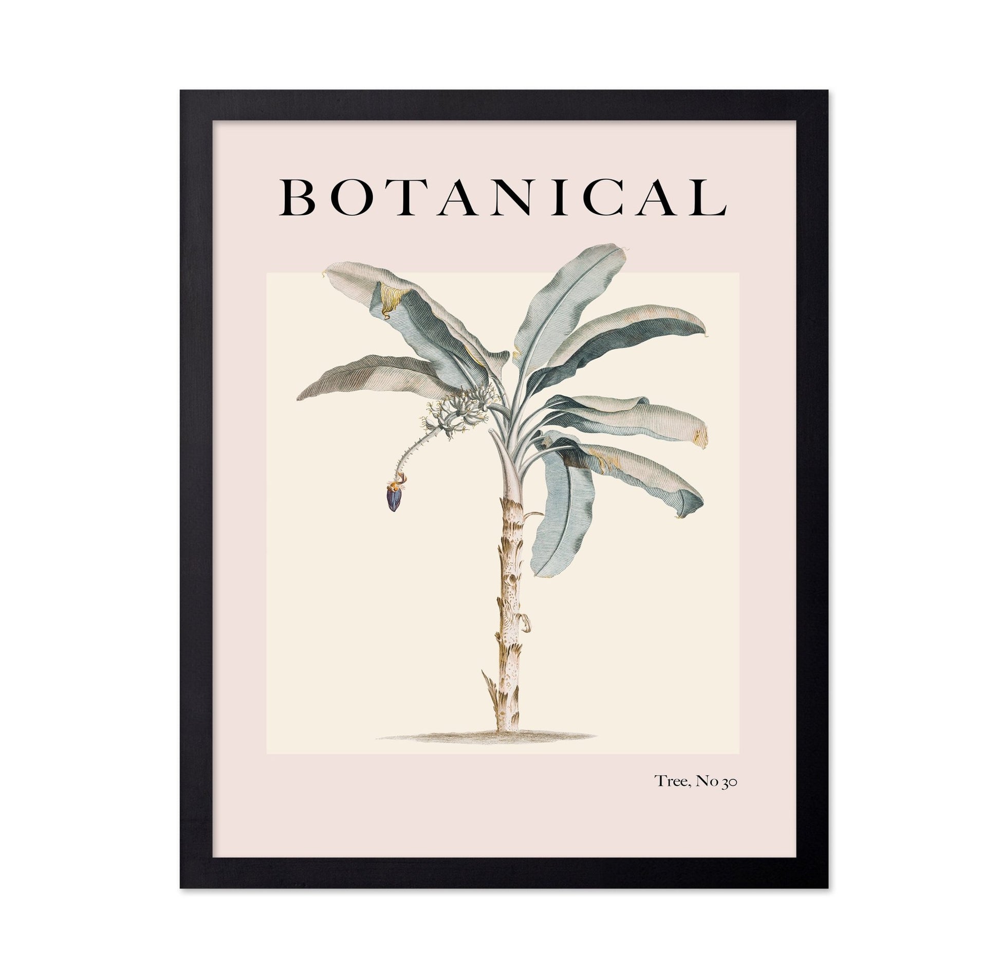 Vintage Botanical Palm