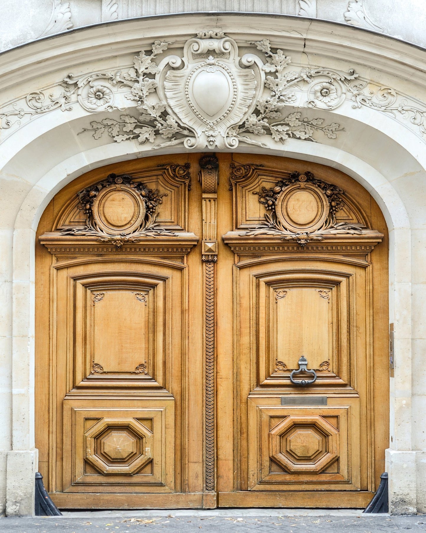 Paris Wooden Door