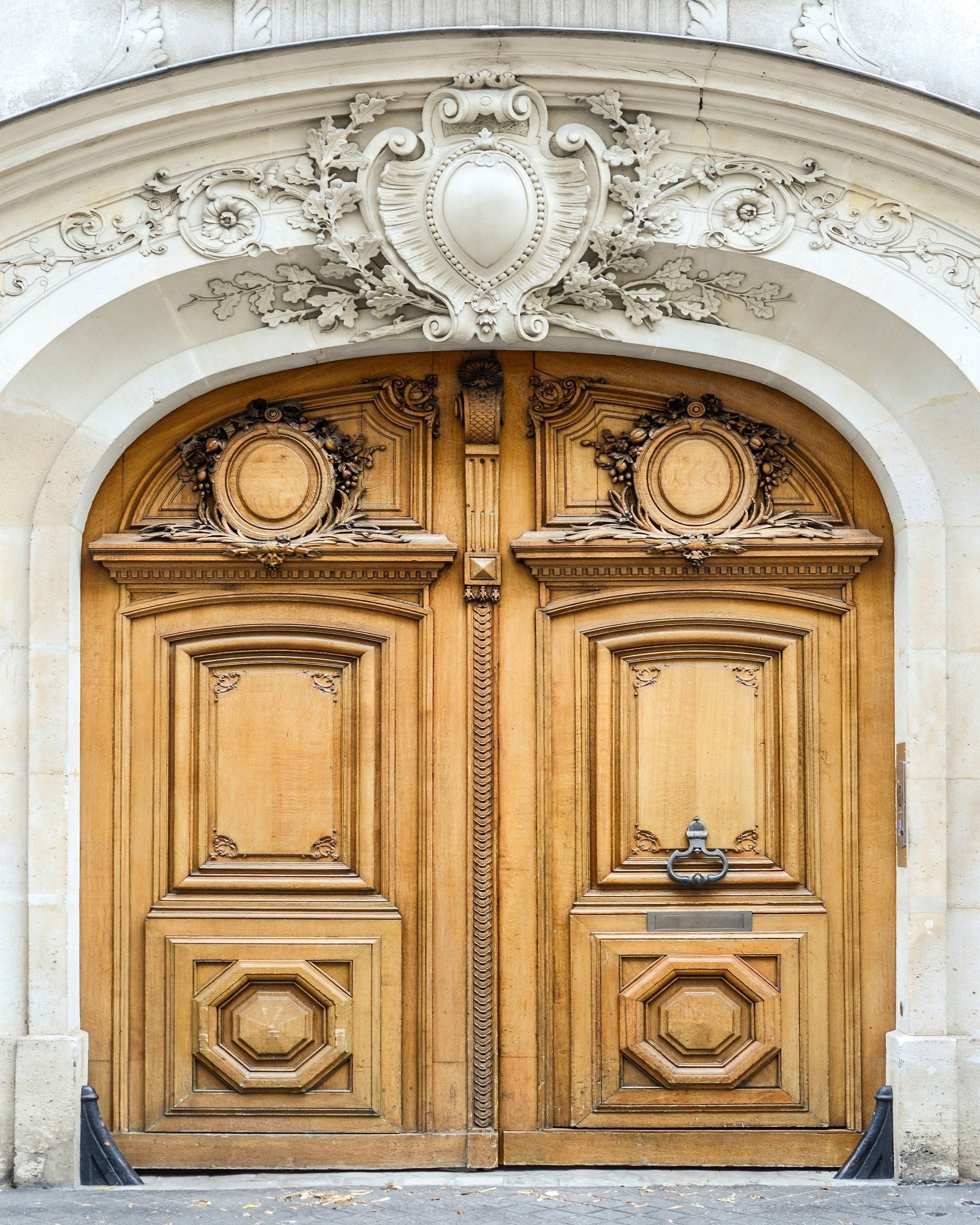 Paris Wooden Door