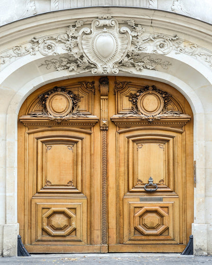 Paris Wooden Door