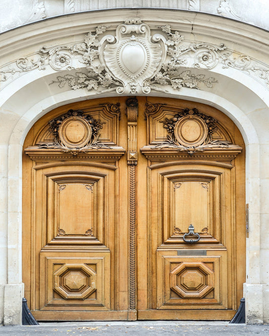 Paris Wooden Door