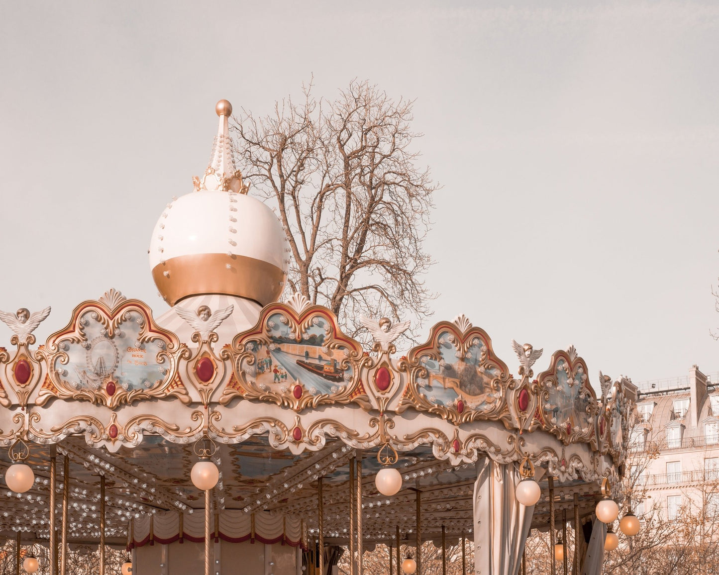 Paris Carousel Charm