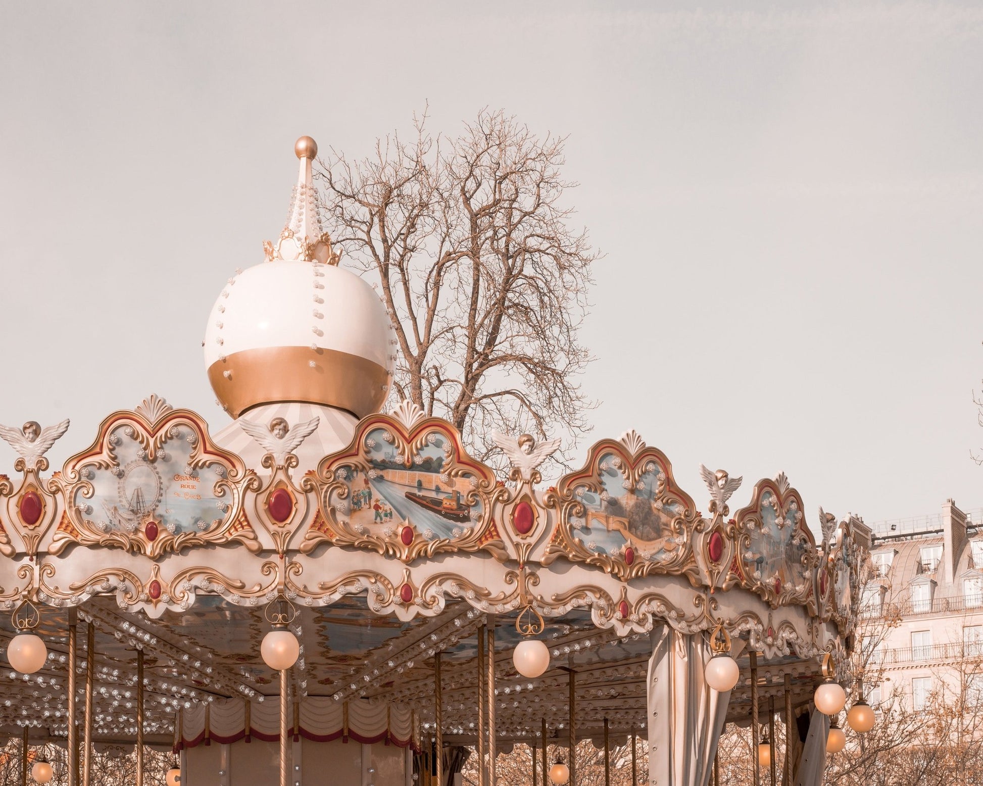 Paris Carousel Charm