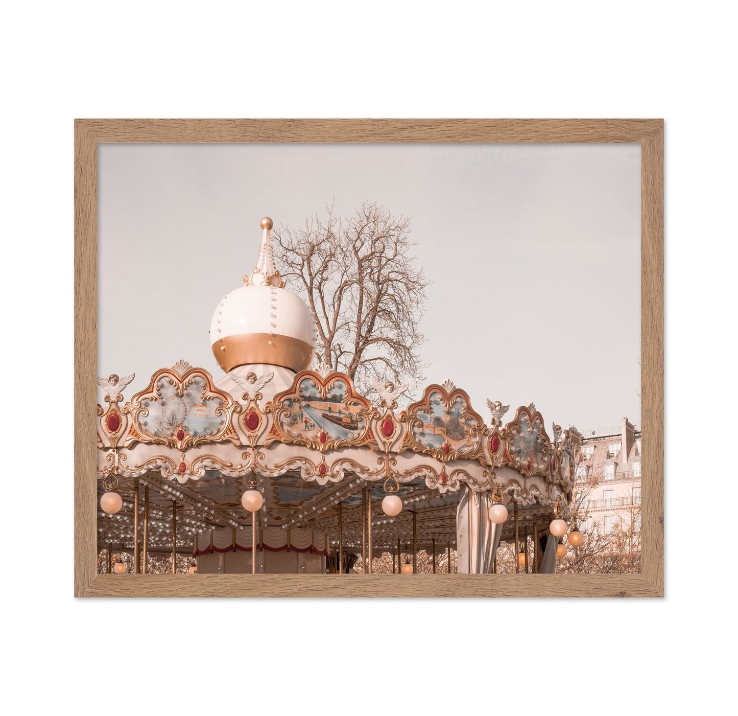 Paris Carousel Charm
