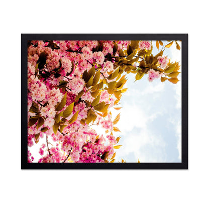 Pink Blossom Sky