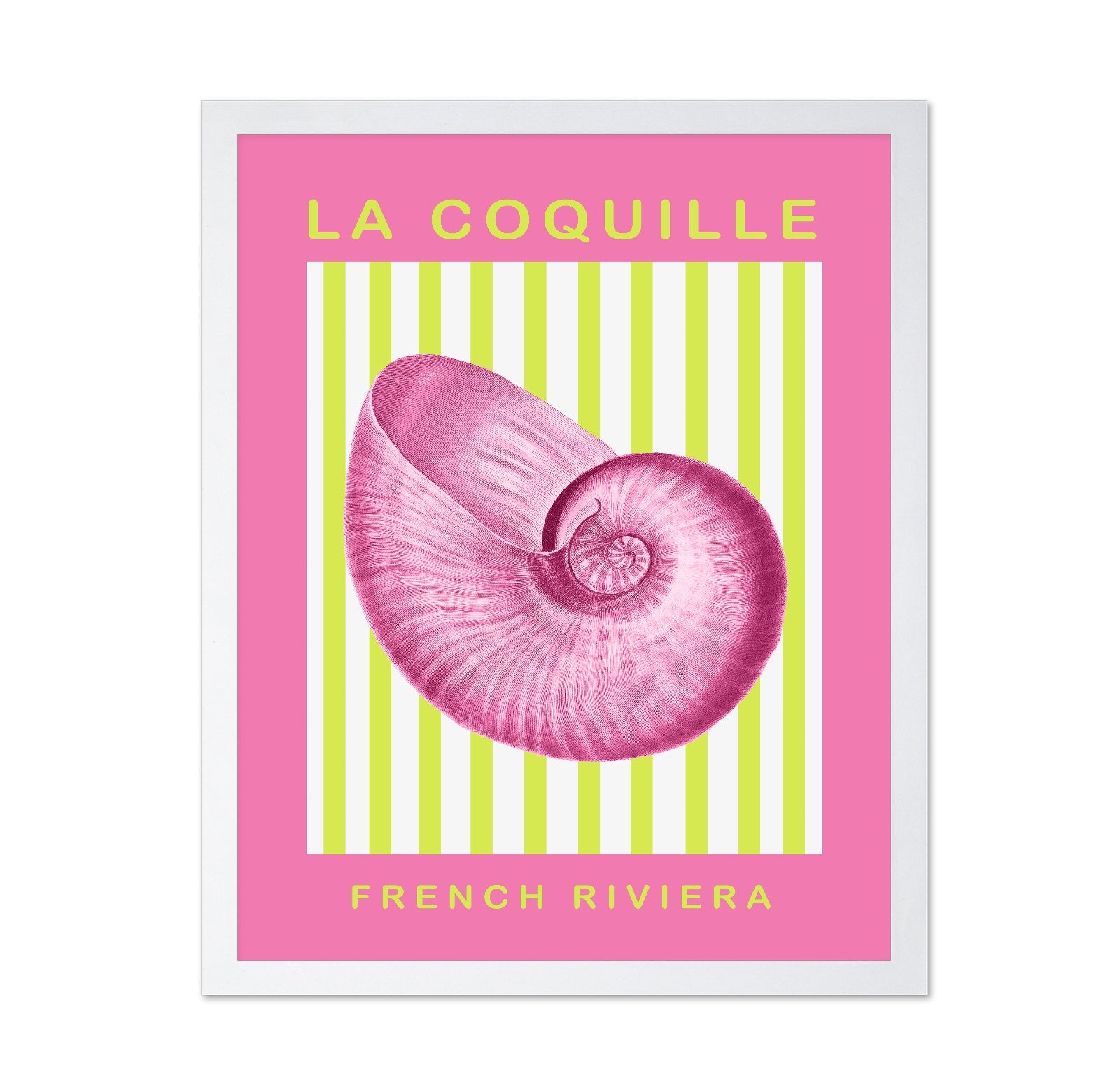 Pink Riviera Shell