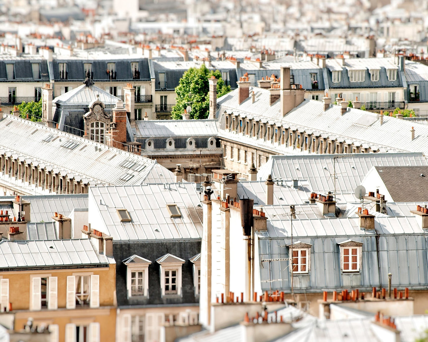 Paris Rooftop View No2