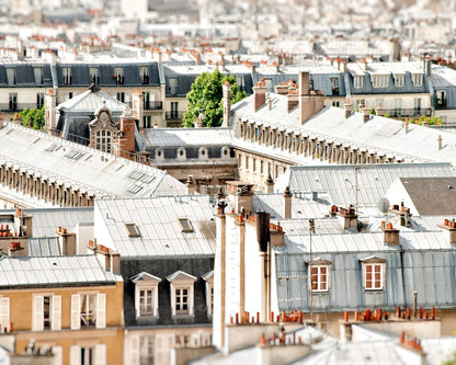 Paris Rooftop View No2