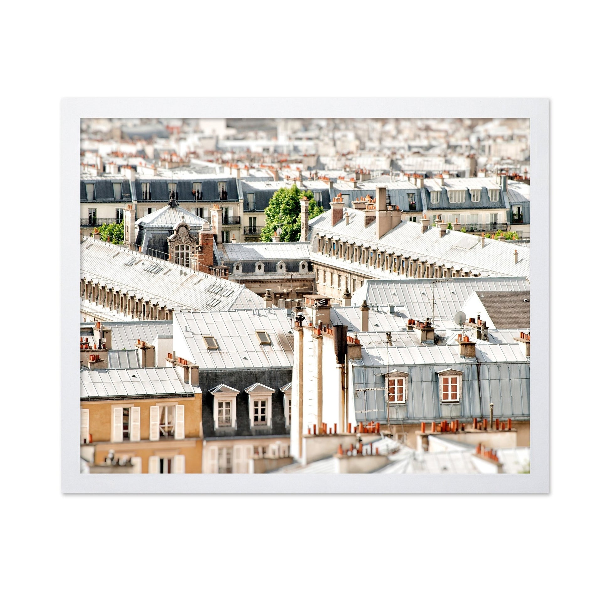 Paris Rooftop View No2