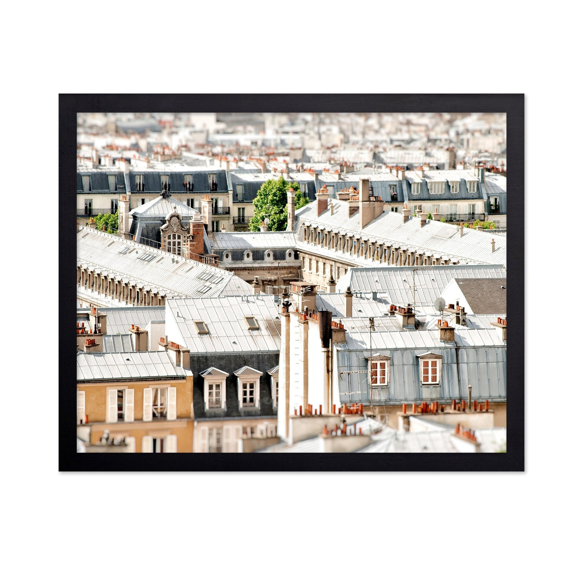 Paris Rooftop View No2