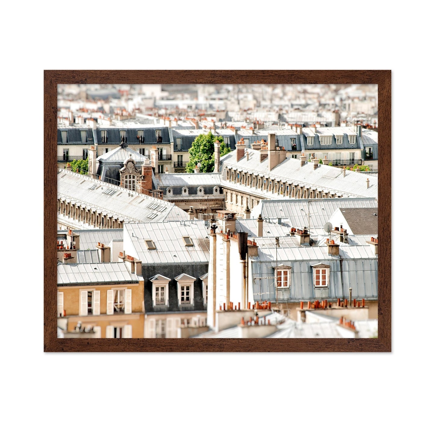 Paris Rooftop View No2
