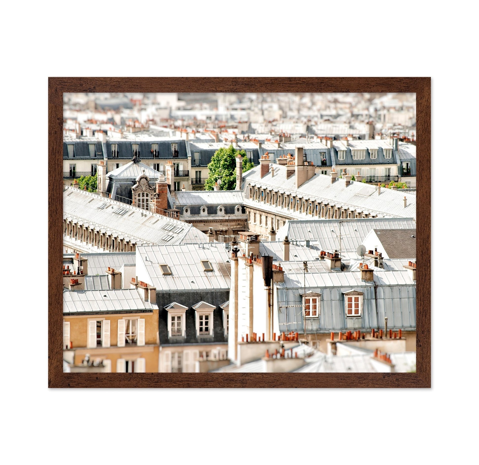 Paris Rooftop View No2