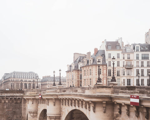 Paris Bridge View