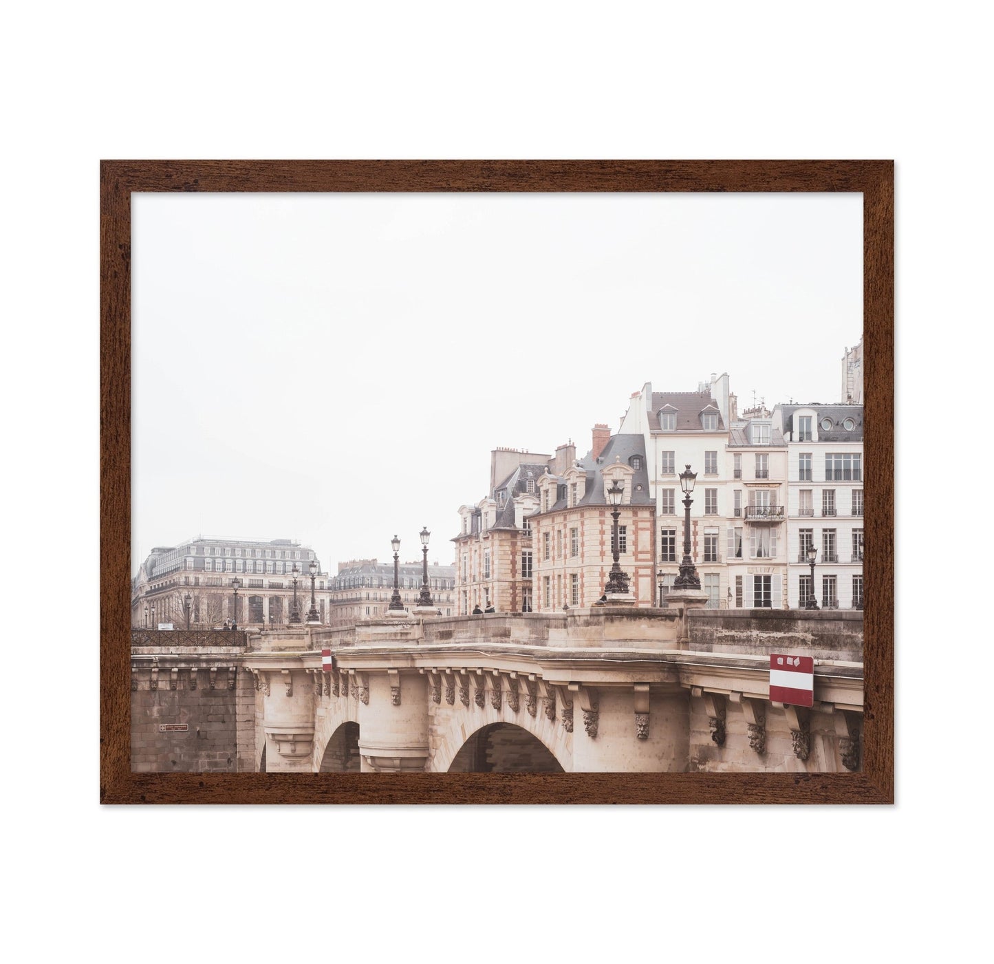 Paris Bridge View