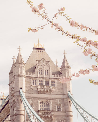 Tower Bridge Blossoms