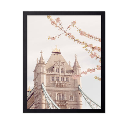 Tower Bridge Blossoms
