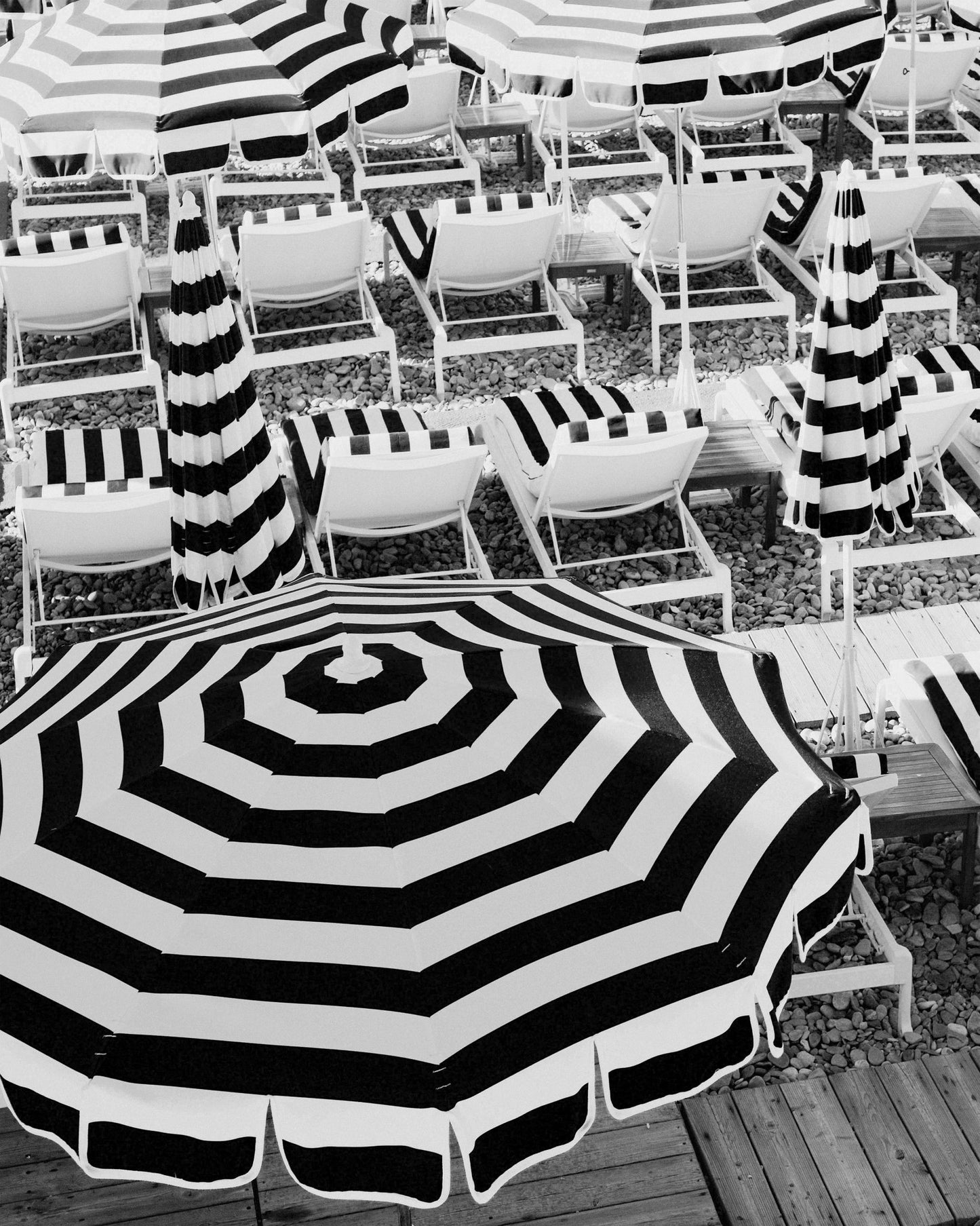 Striped Beach Umbrellas No1