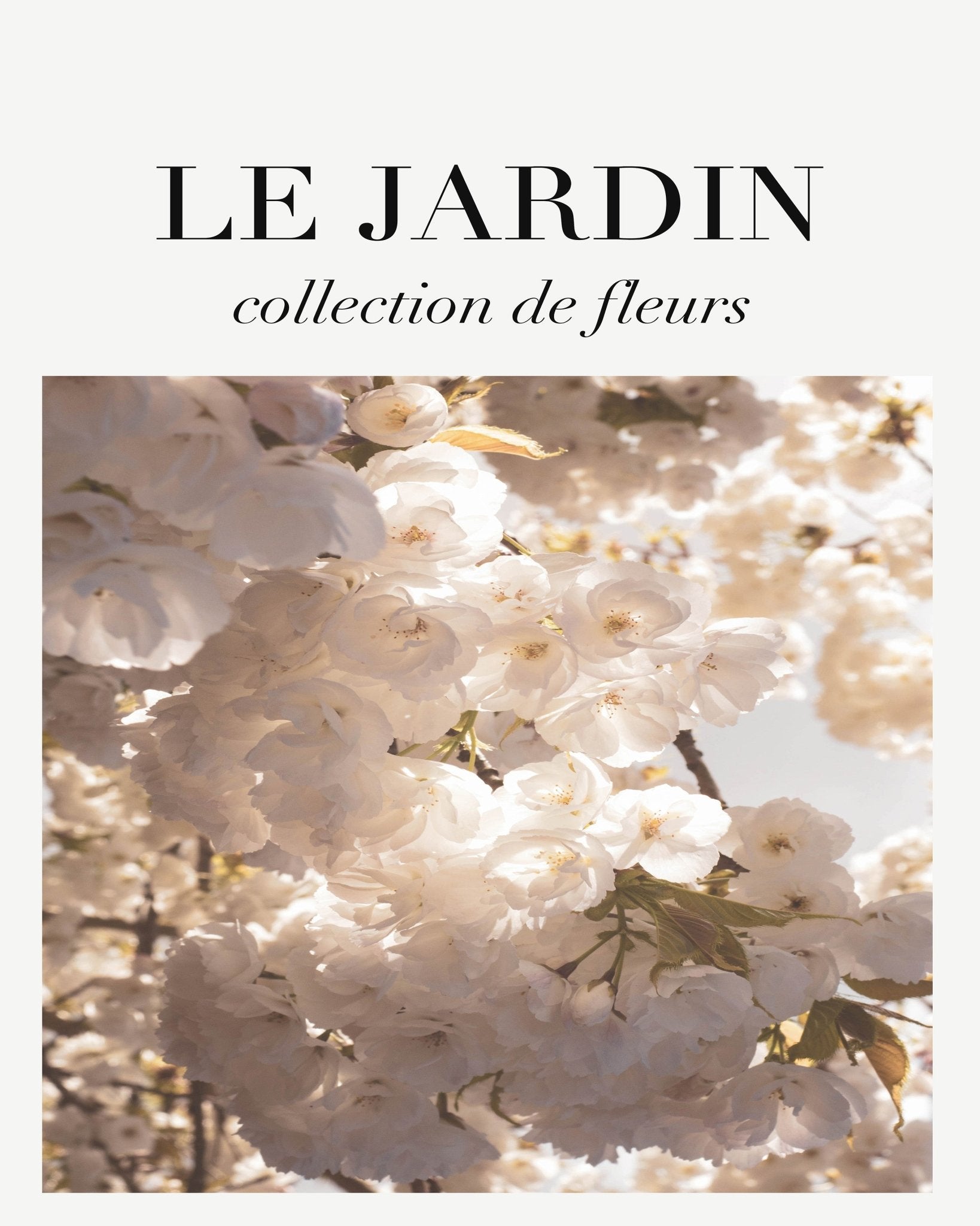 Jardin Flower Poster