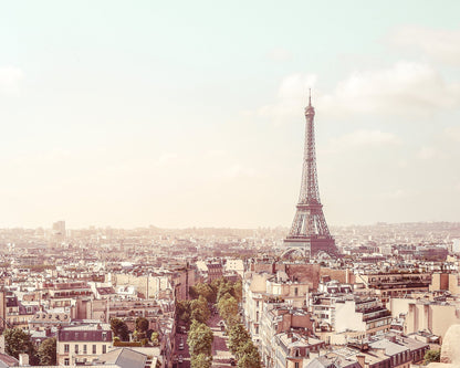 Paris Skyline View