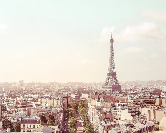 Paris Skyline View