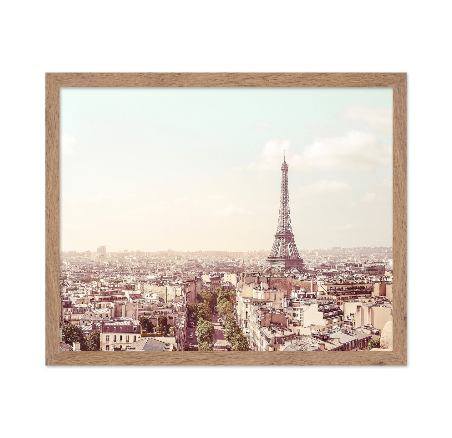 Paris Skyline View