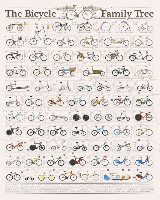 Bicycle Family Tree