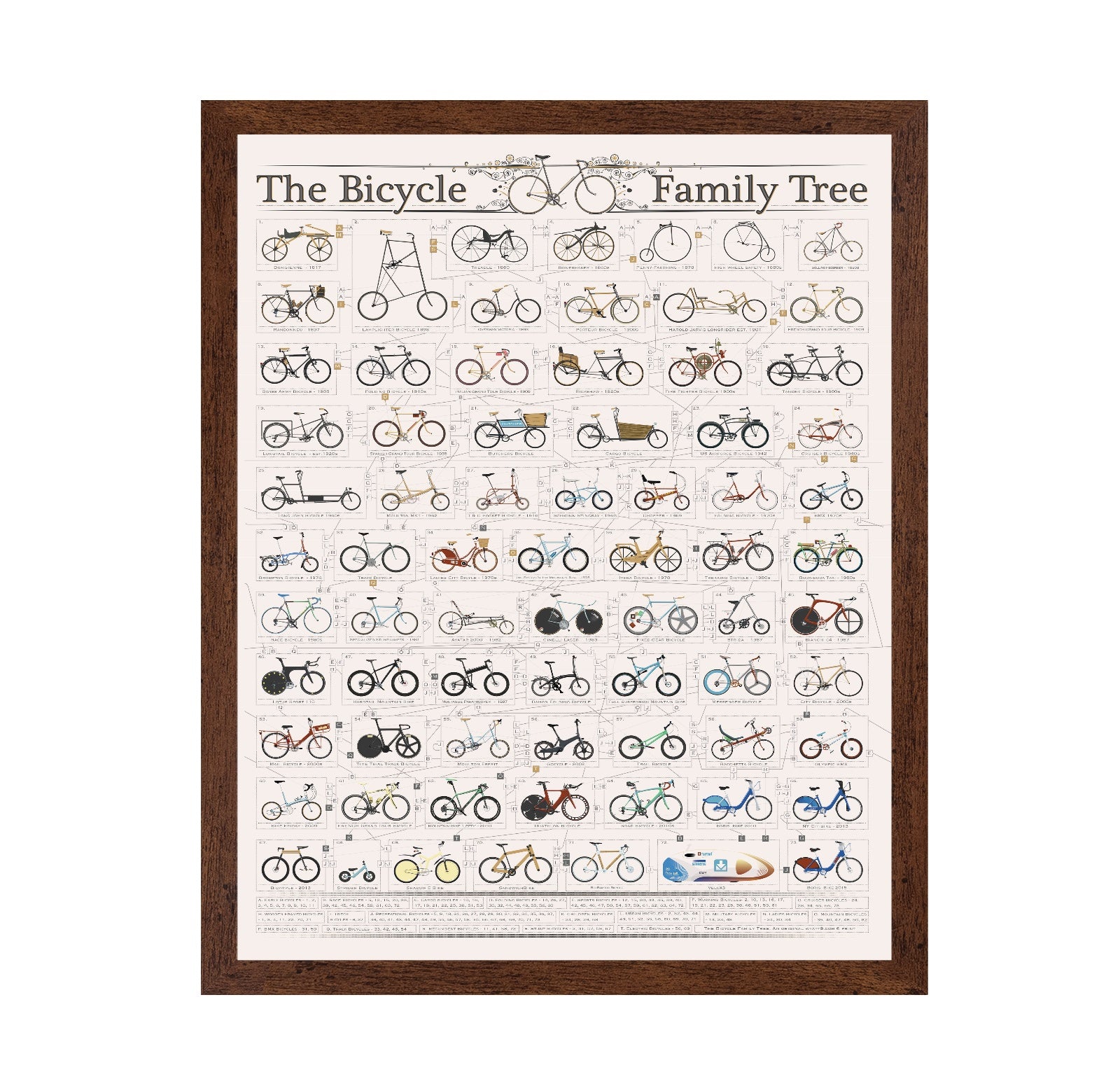 Bicycle Family Tree