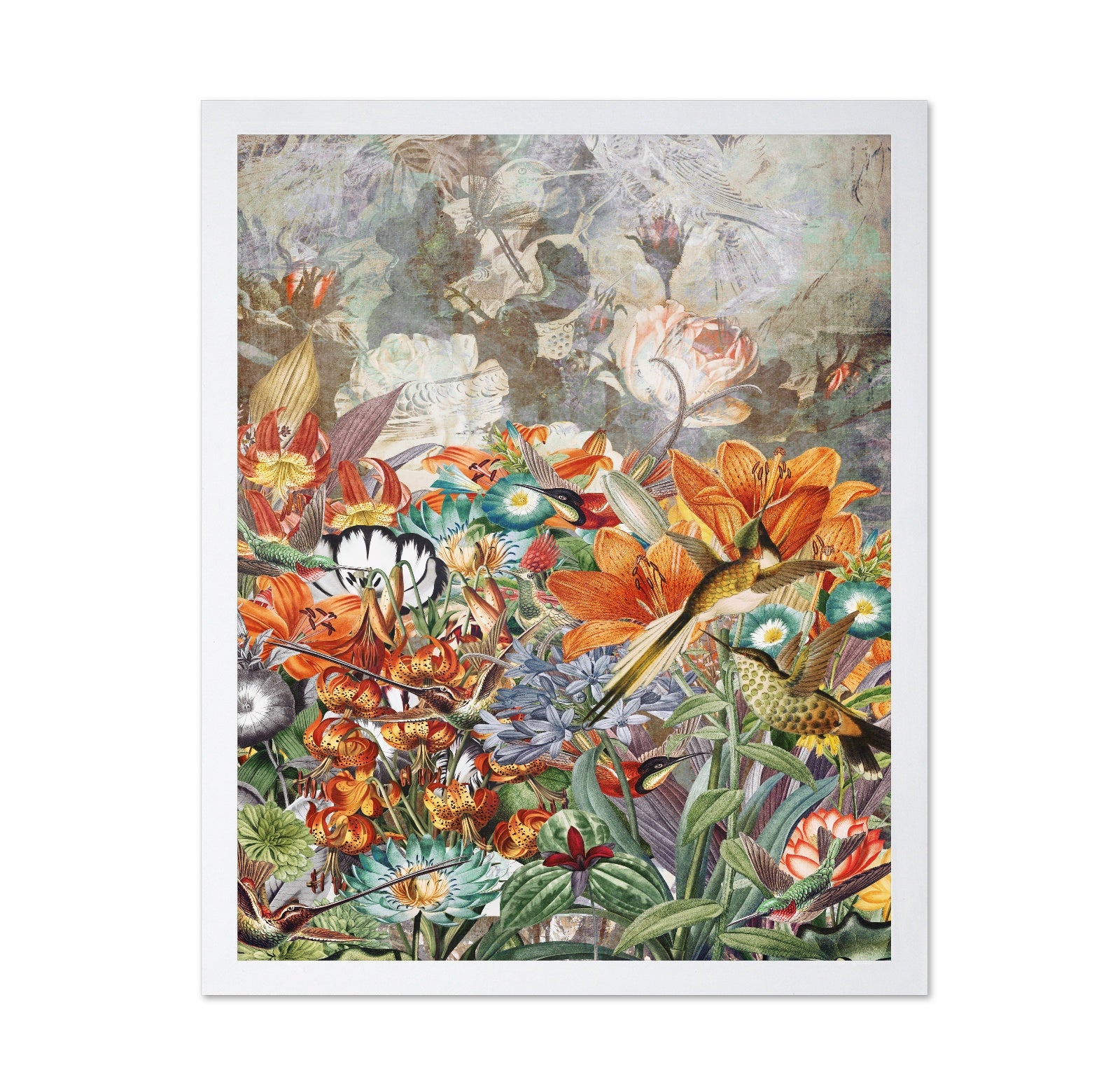 Hummingbird Garden No1