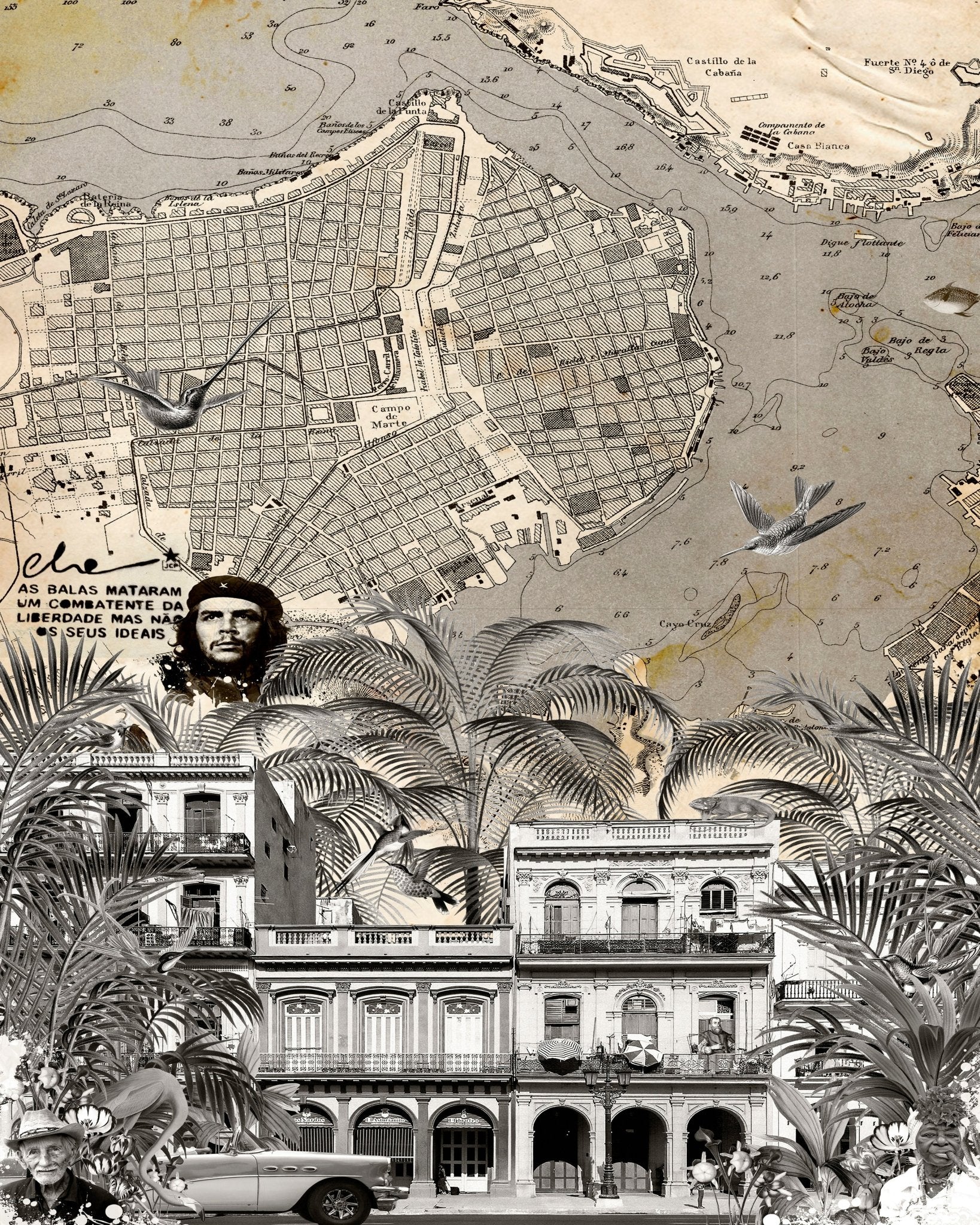 Havana Vintage Map No2