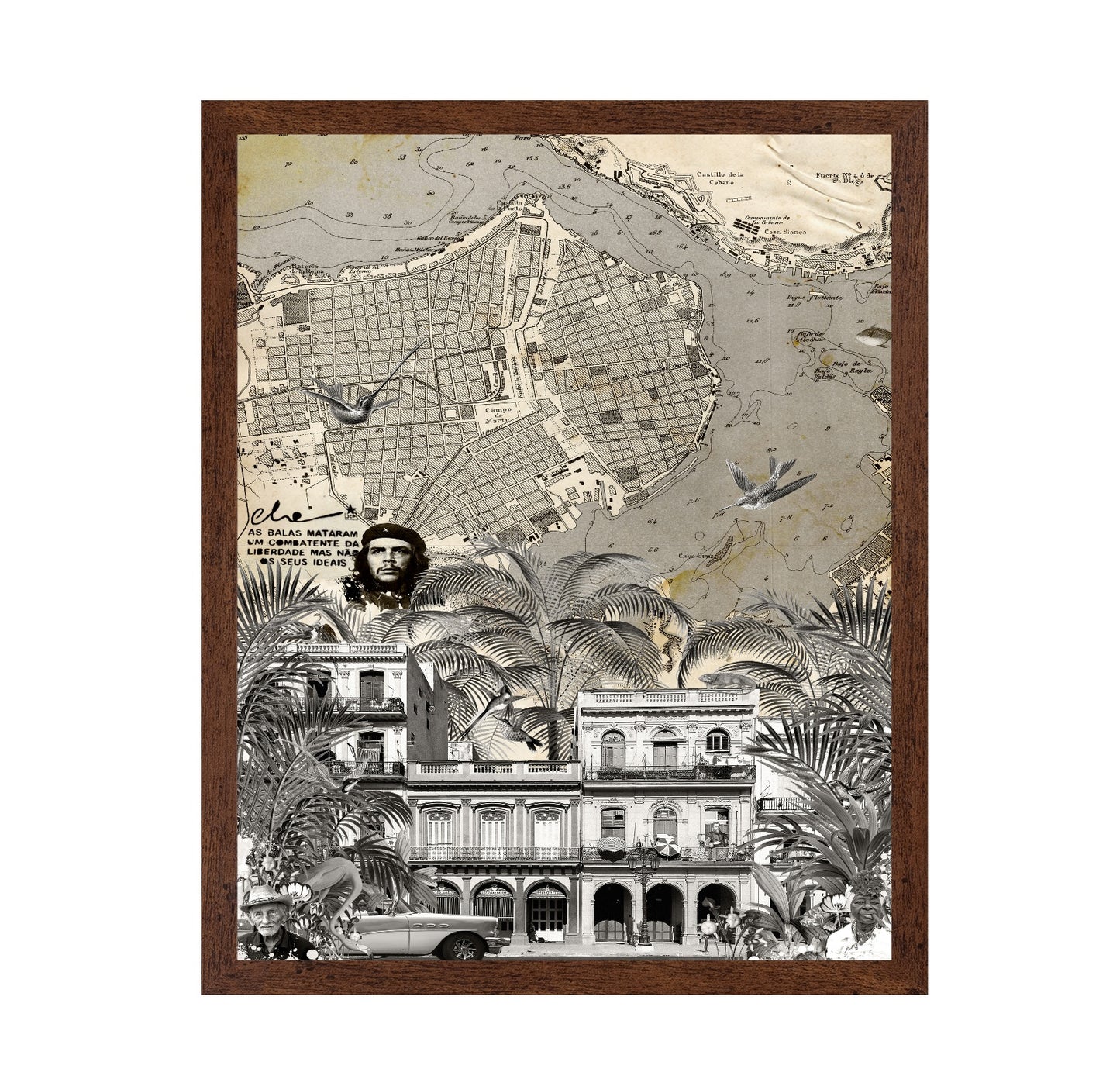 Havana Vintage Map No2