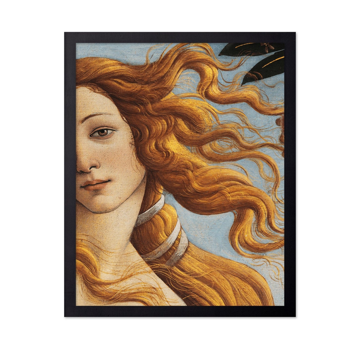 Venus Detail