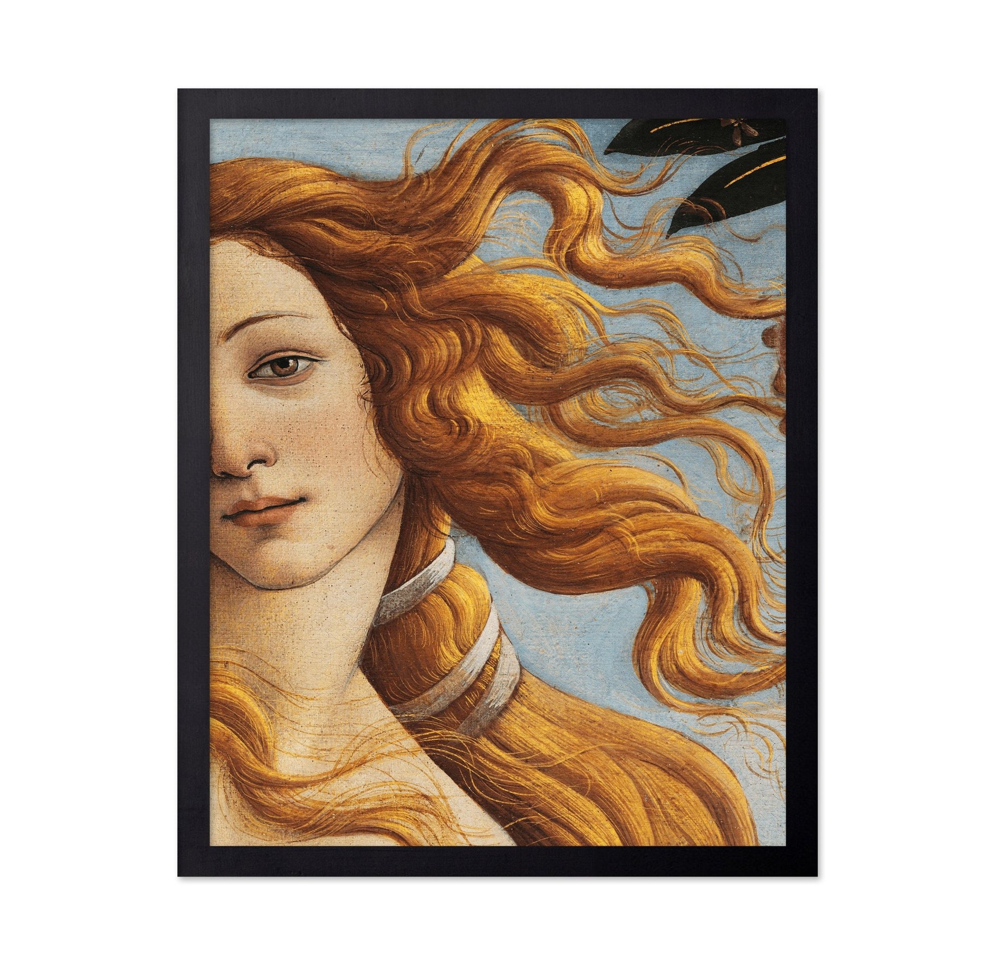 Venus Detail