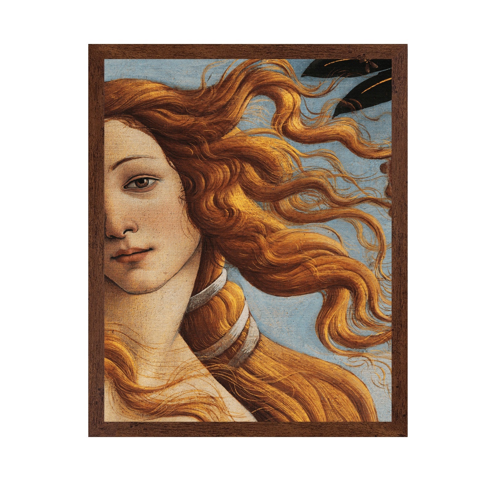 Venus Detail