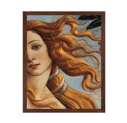 Venus Detail