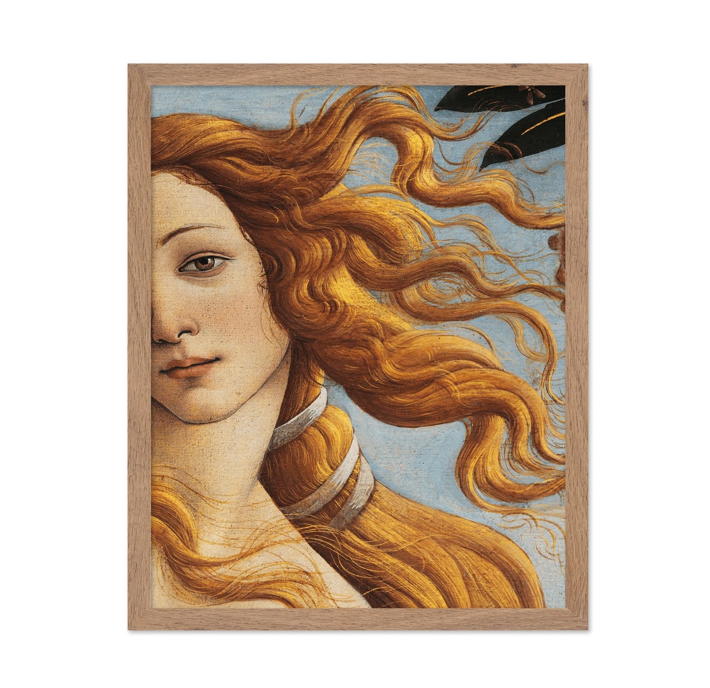 Venus Detail