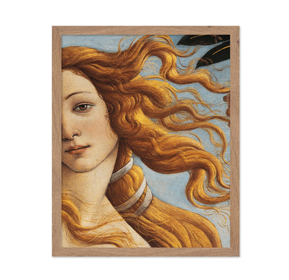 Venus Detail