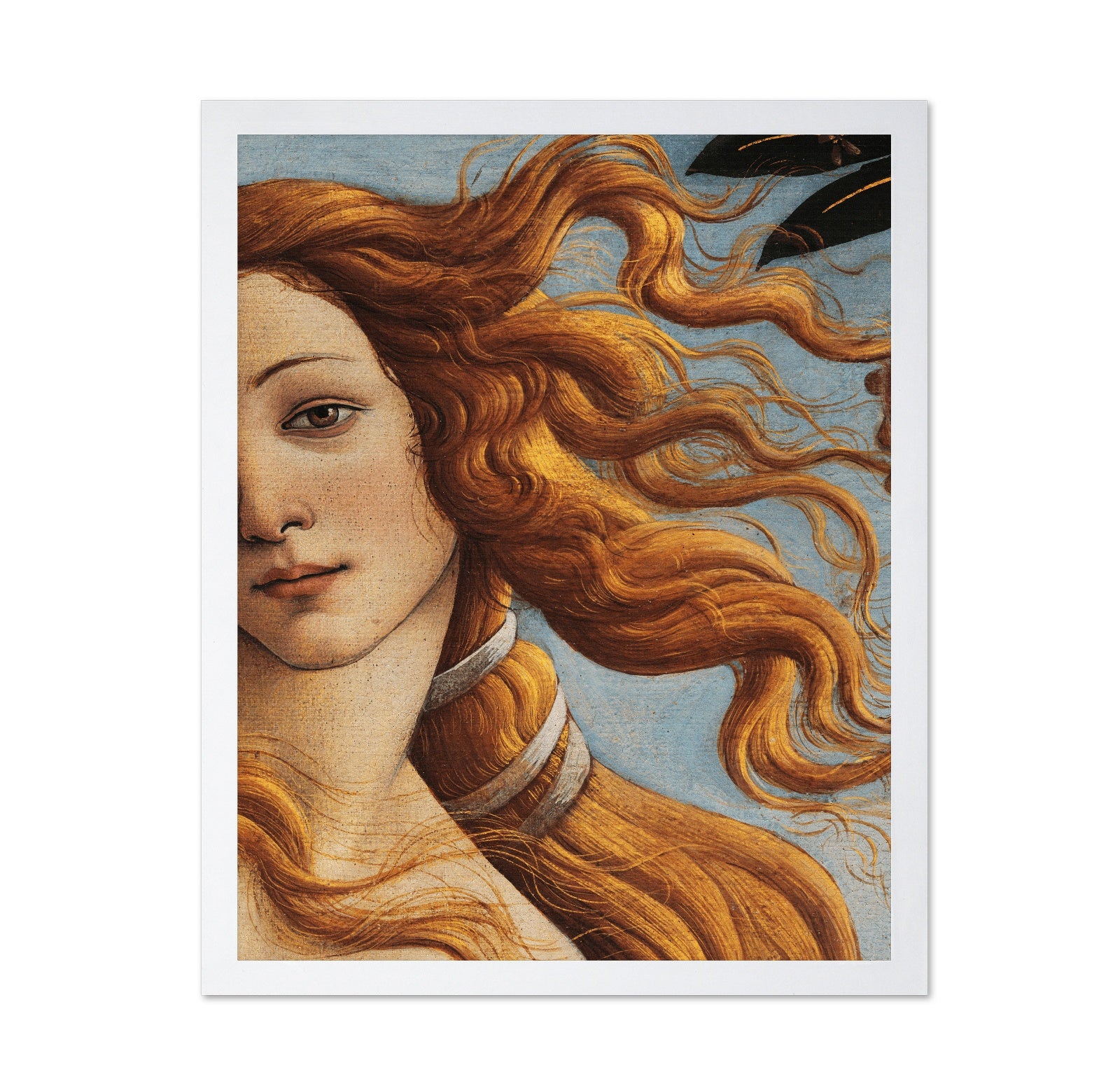 Venus Detail