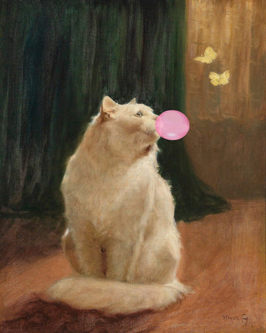 Cat Bubble Dream