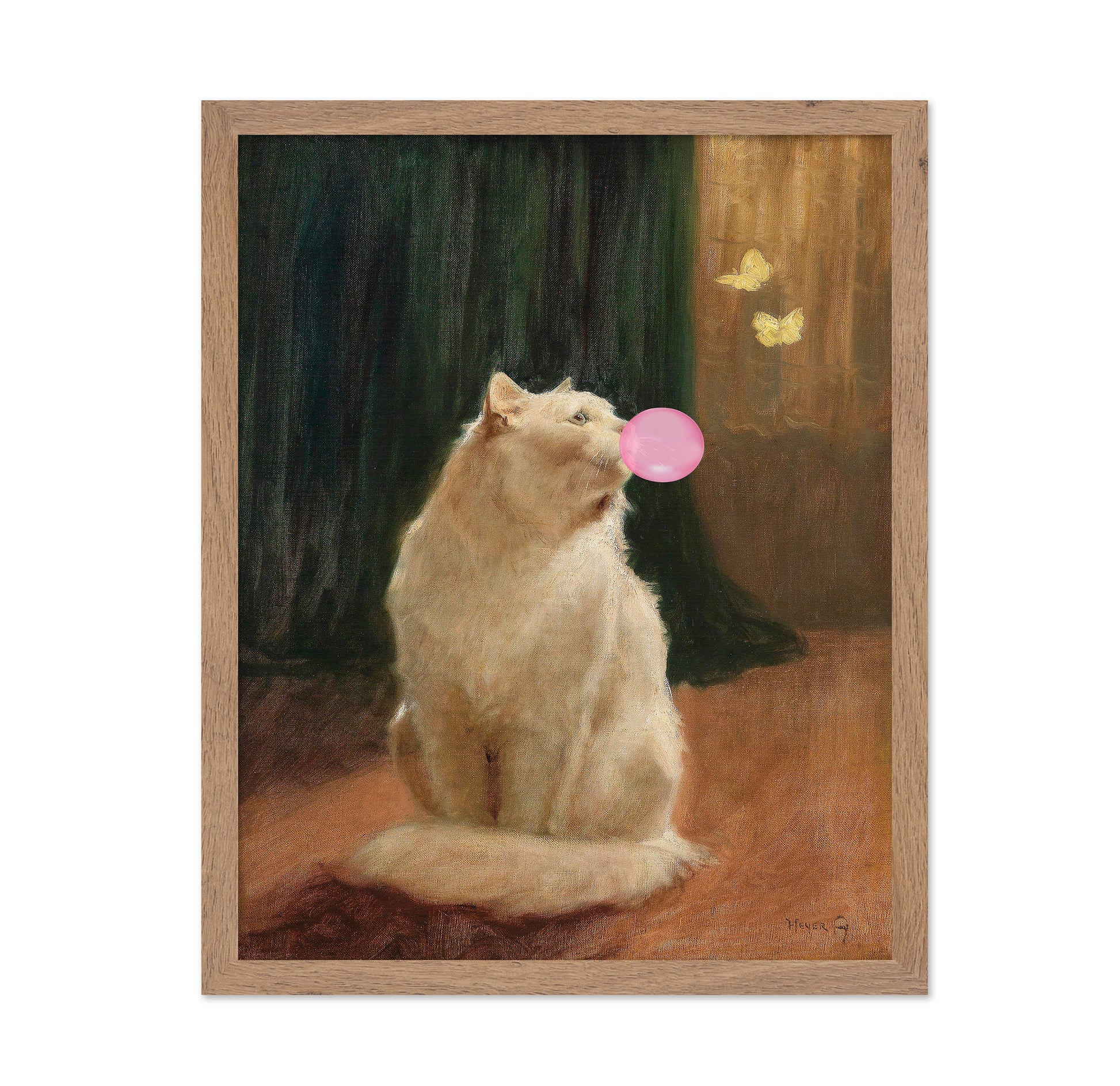 Cat Bubble Dream