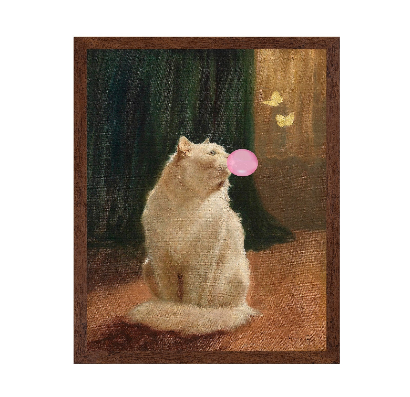 Cat Bubble Dream
