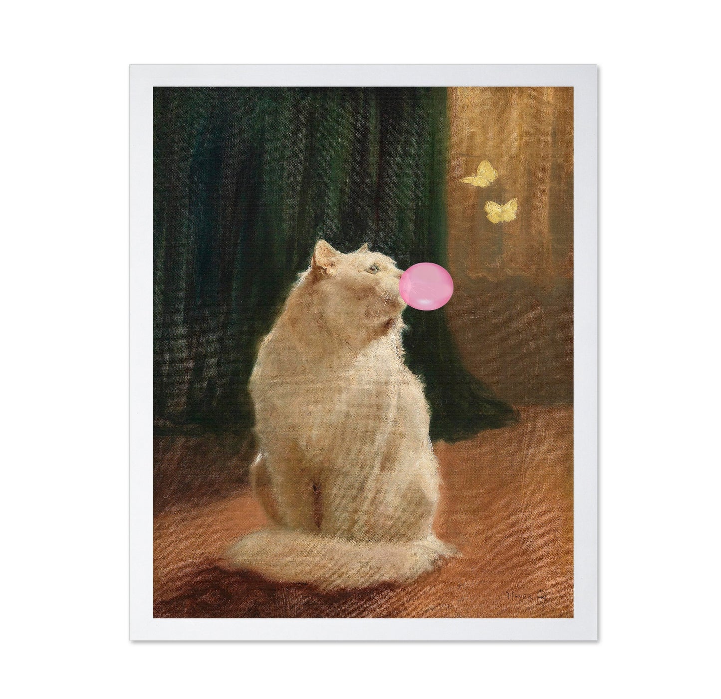 Cat Bubble Dream