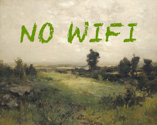 No Wifi Landscape