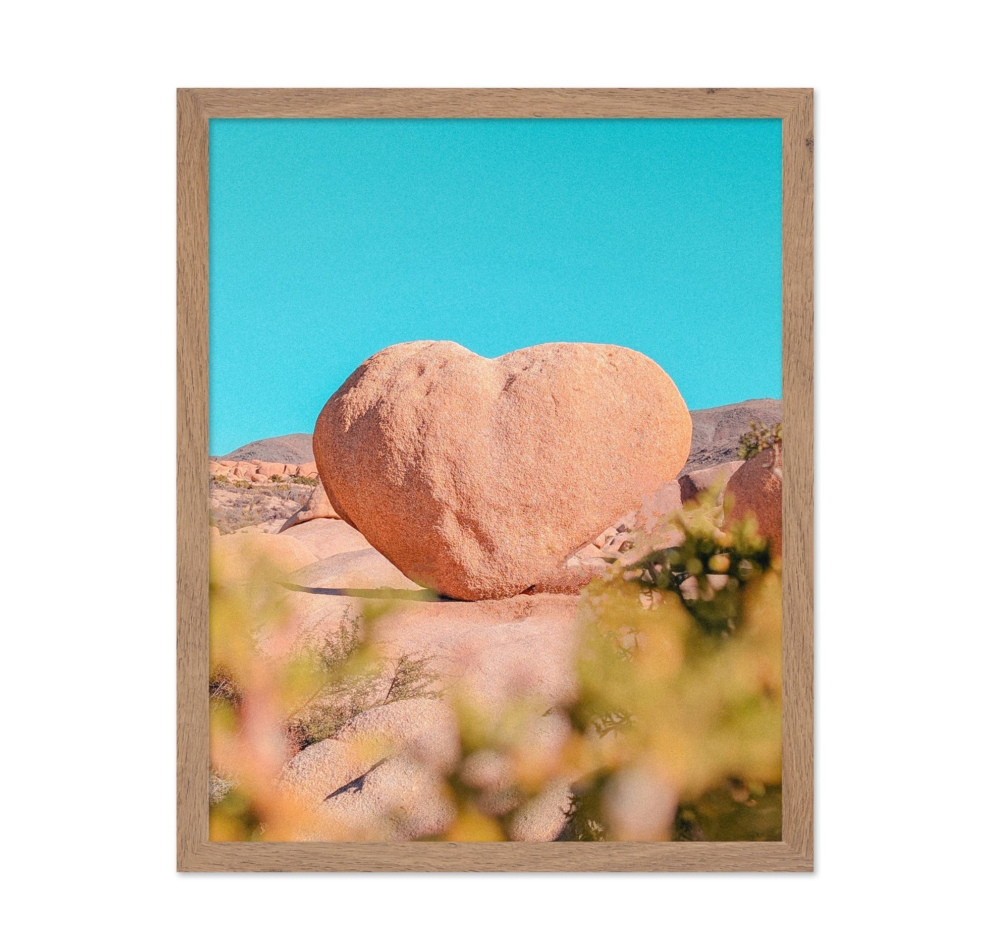 Heart Rock Desert