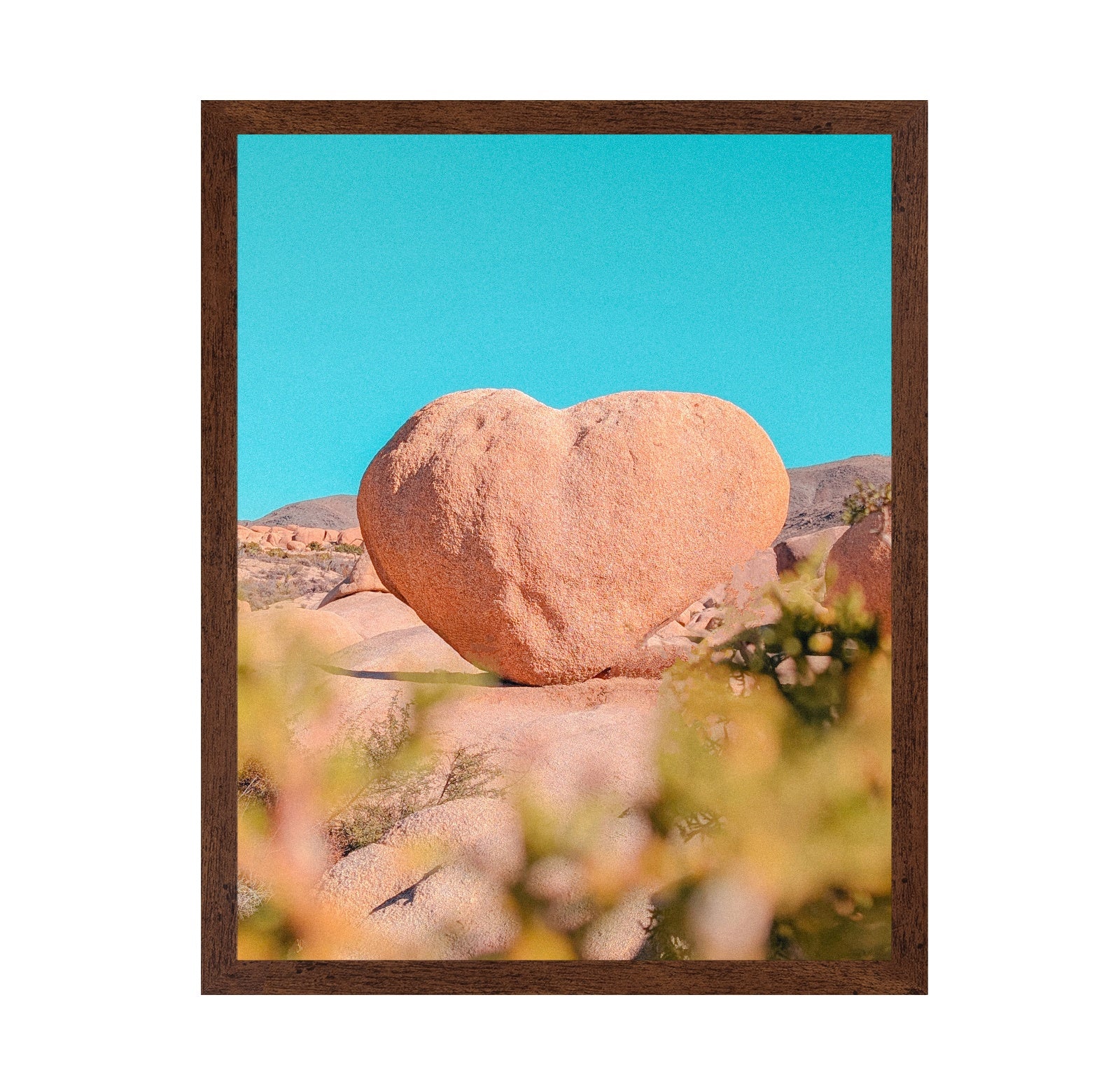 Heart Rock Desert