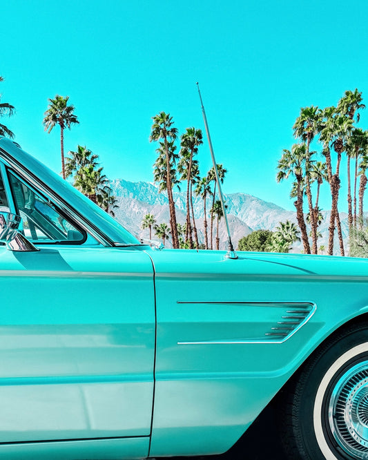 Vintage Car Palm Scene