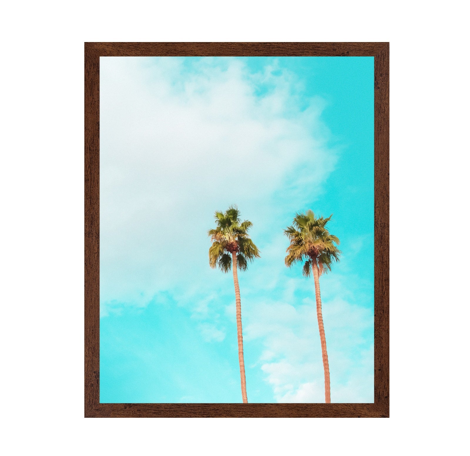Twin Palm Trees